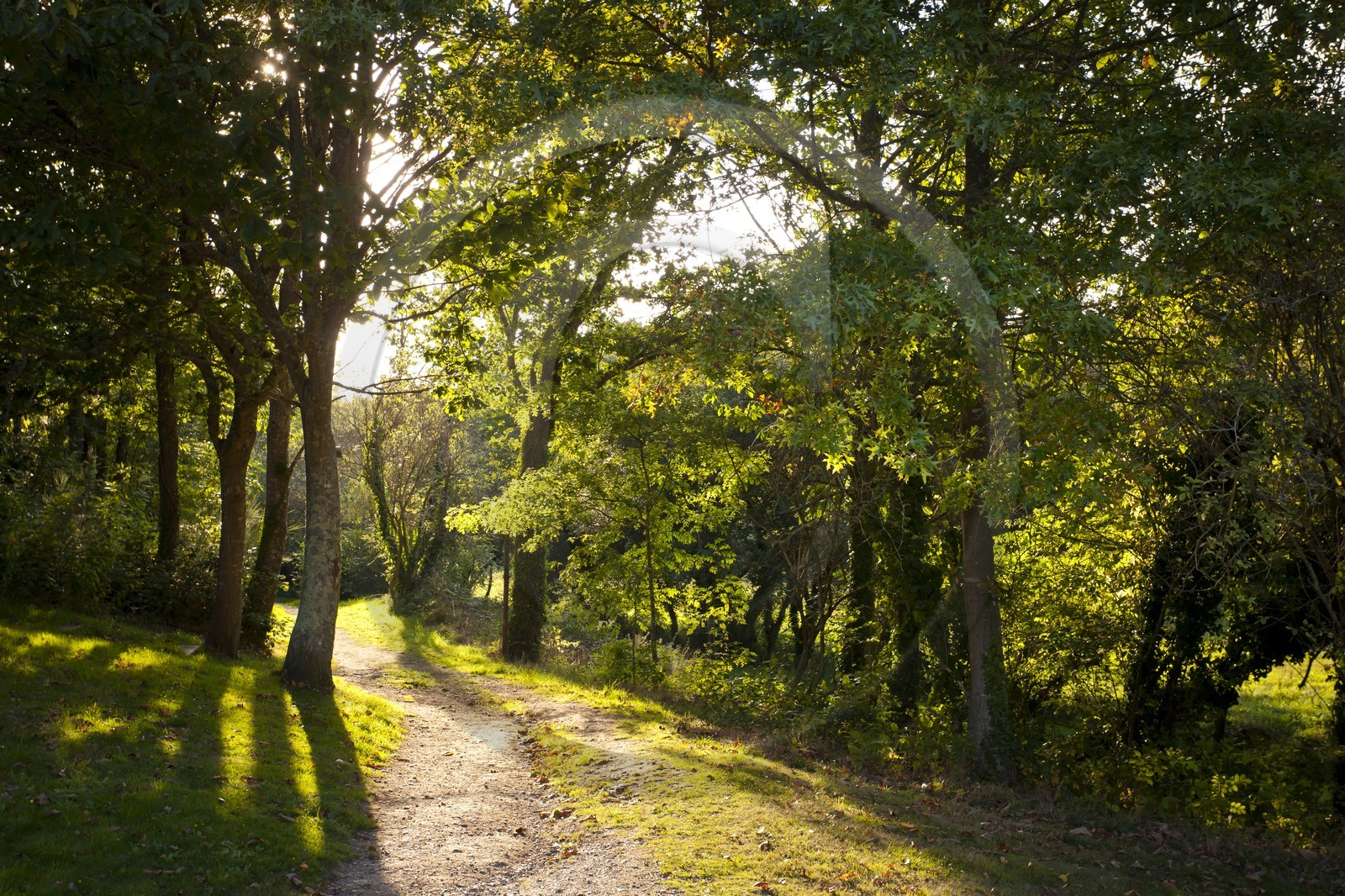 Guidel _ La vallee de la pitie