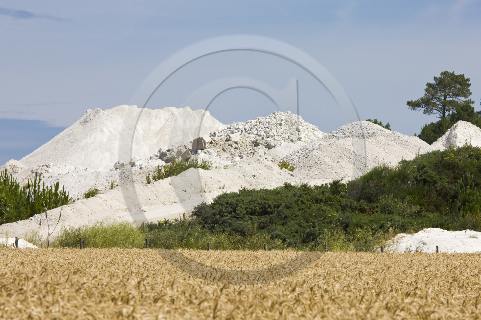 Les Kaolins_Ploemeur (56)