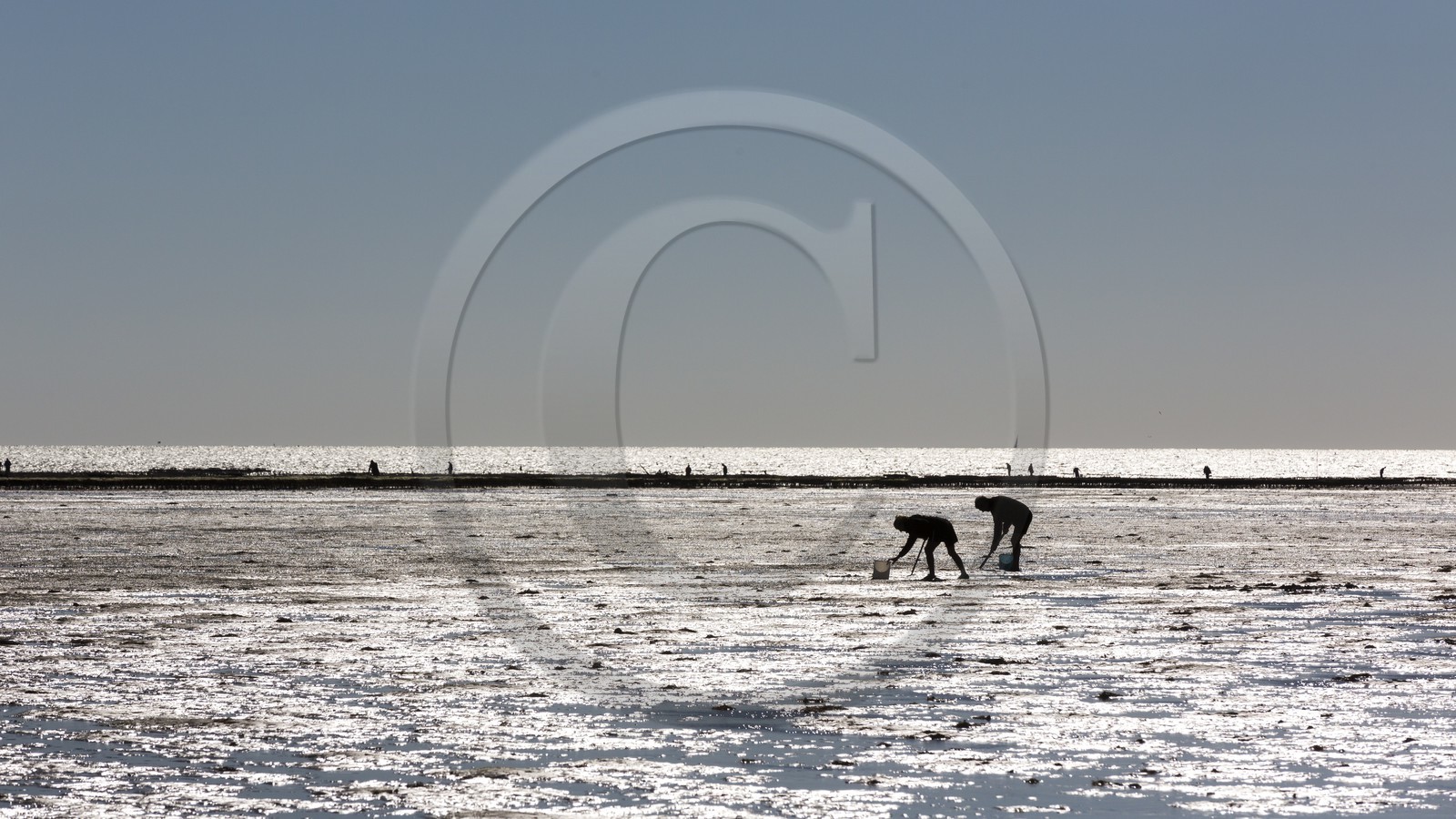 Pêche à pied_Plouharnel