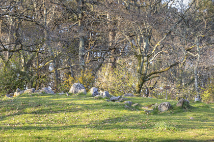 Le site mégalithiques de Mané Roulad à Ploemel