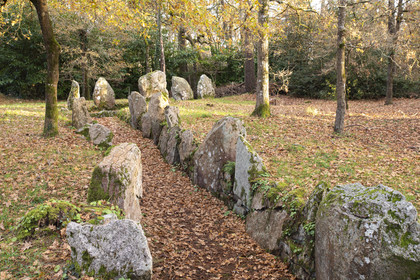 Allée couverte de Luffang Tal-er-Roch à Crach.