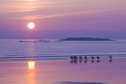 Cavaliers au coucher de soleil_Erdeven