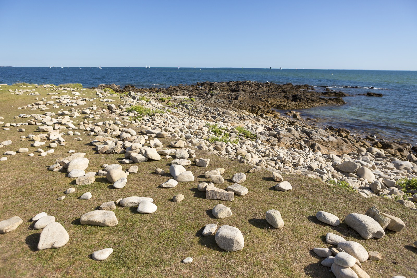 chemin des douaniers _ La Trinite sur Mer