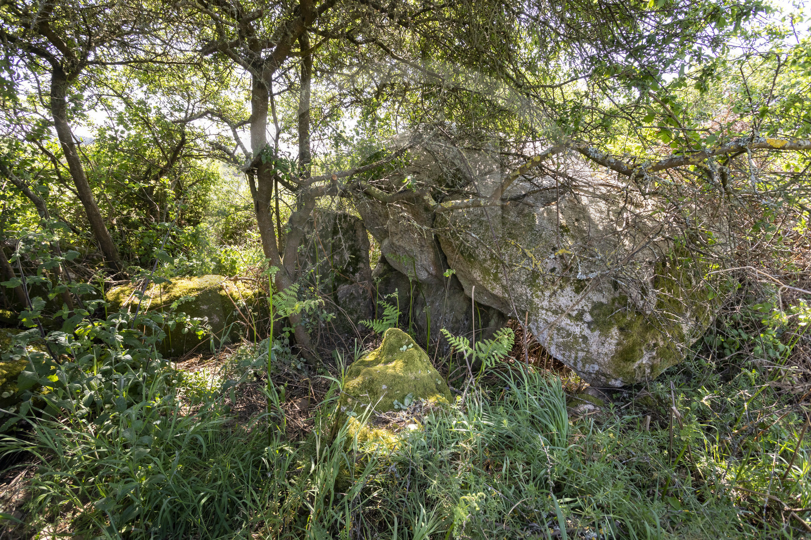 Allée couverte du Net _ Saint-Gildas-de-Rhuys