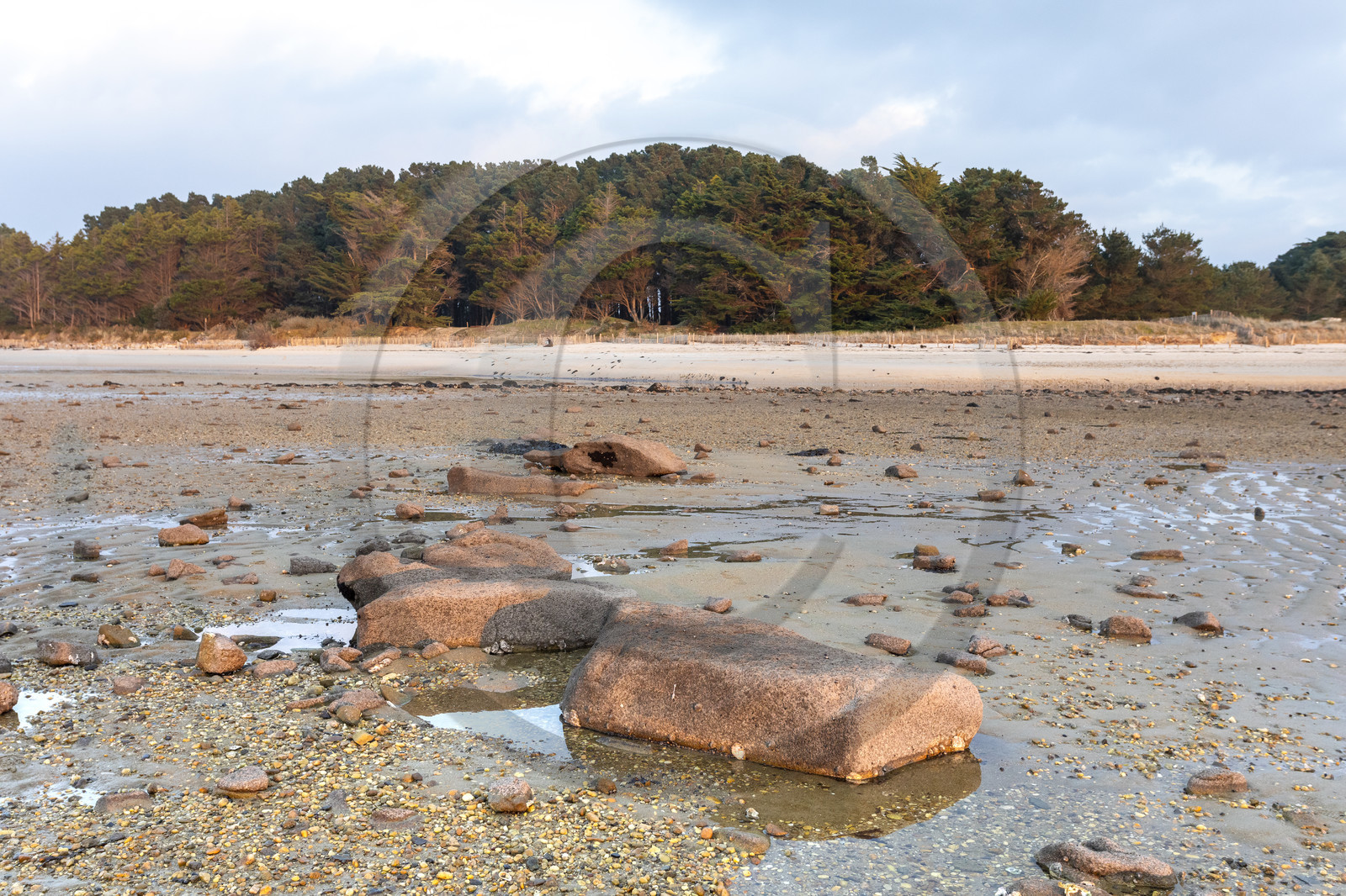 Alignements de Kerdual _ la Trinité sur Mer