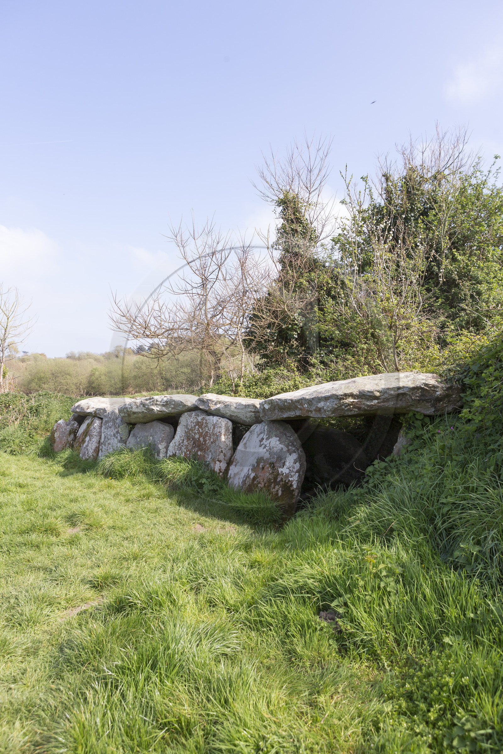 L'allée couverte de Kerguntuil à Trégastel.