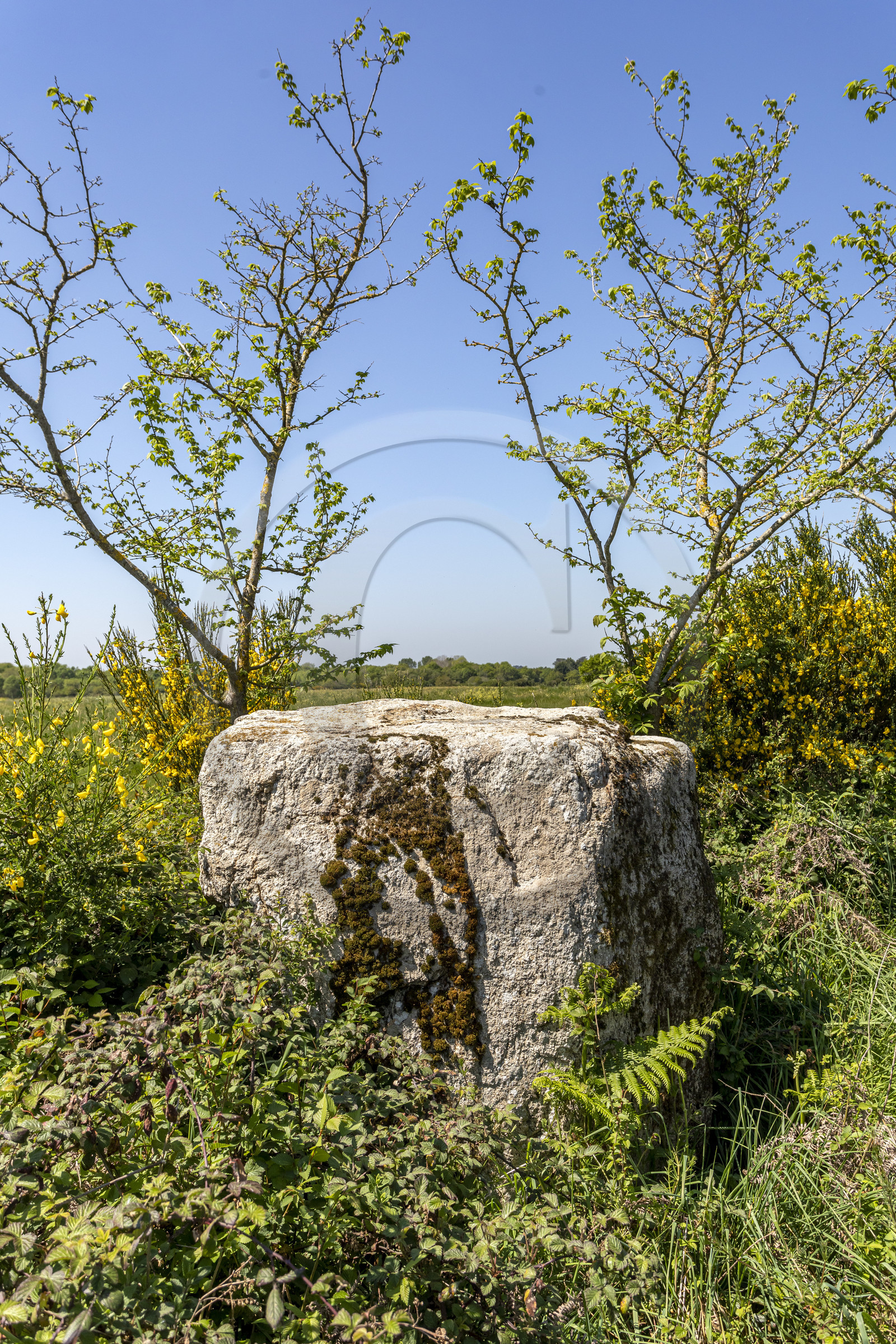 Menhir de Kerbigot à Sarzeau