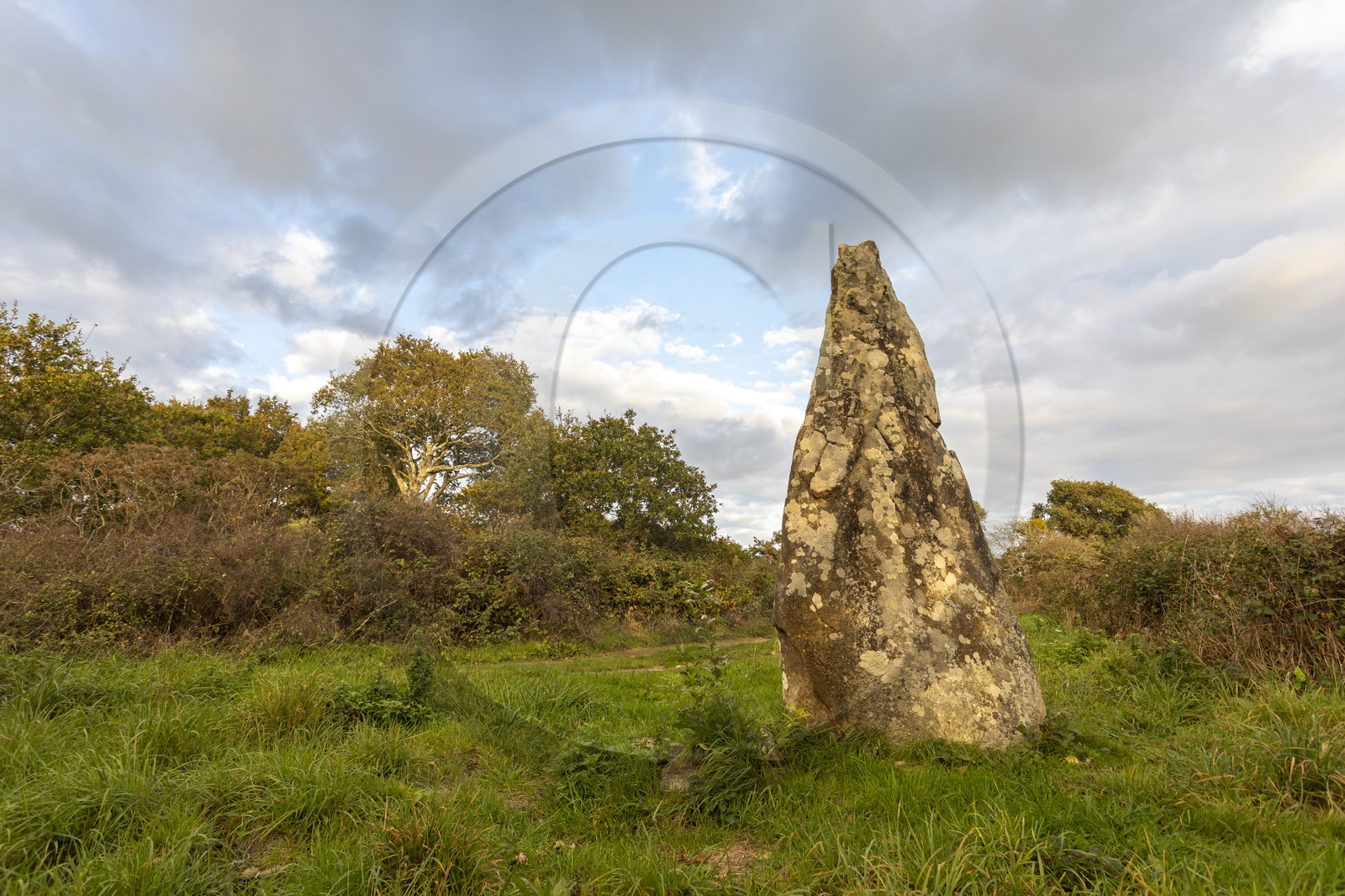 Le tumulus du Moustoir à Carnac