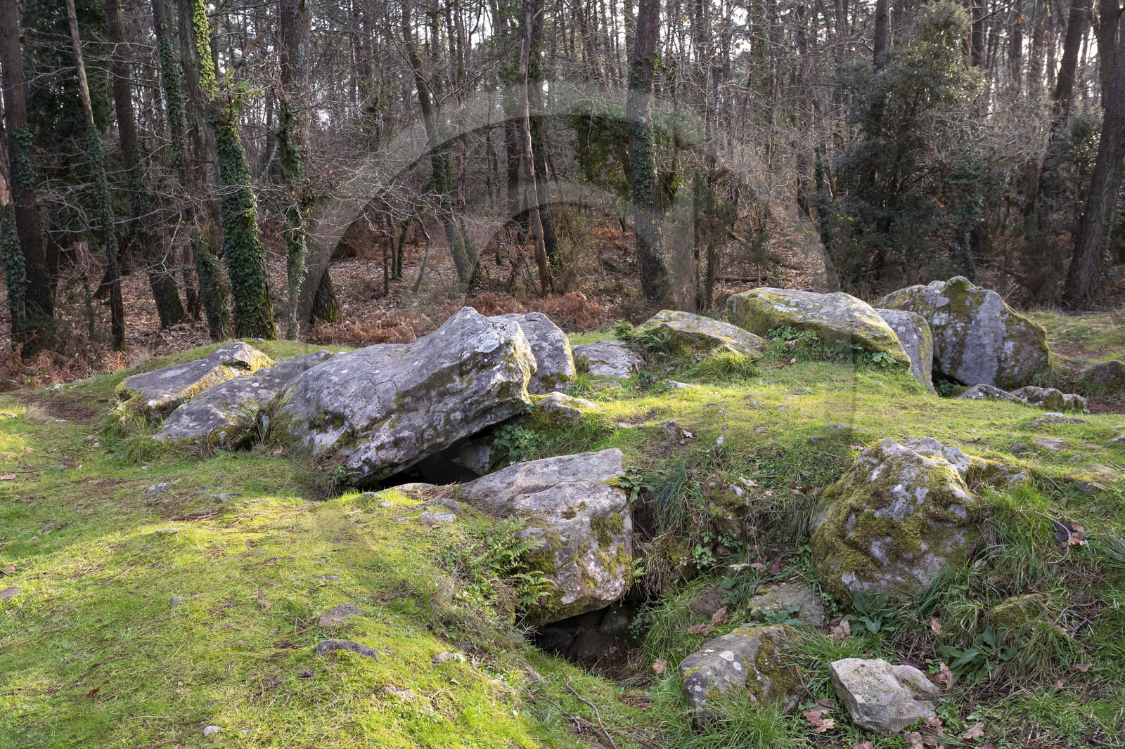 The Mané-Ven-Guen or Toulvern dolmen located in Baden