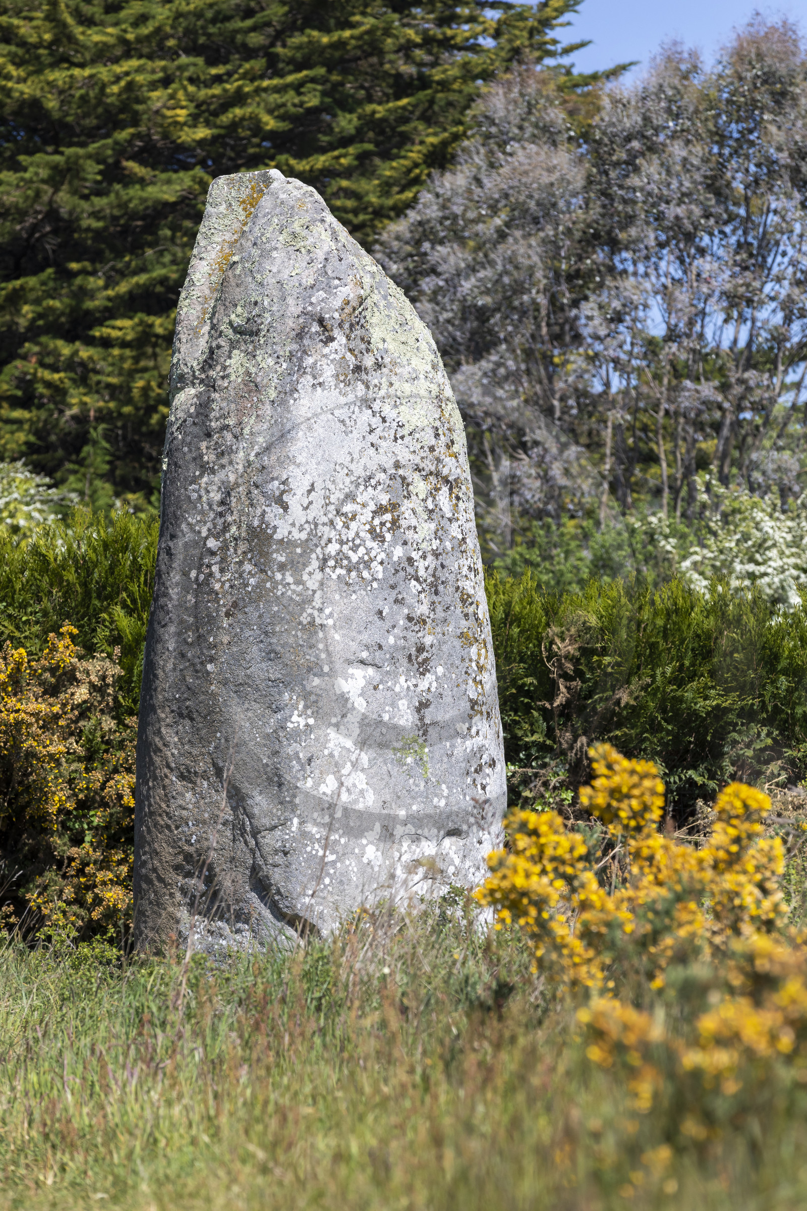 Le menhir de Kermaillard à Sarzeau