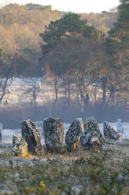 Alignements de Kermario à Carnac