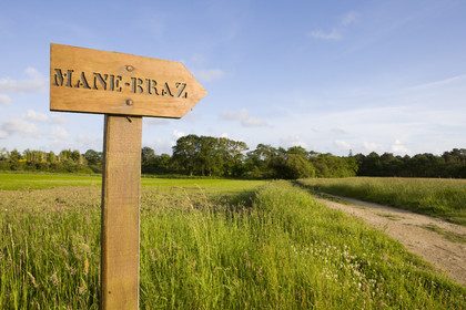 The dolmens of Mané-Bras in Erdeven
