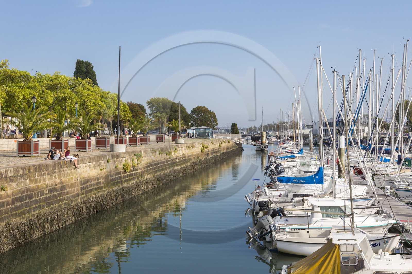 Le port de plaisance de Lorient