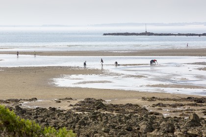 Peche a pied _ plage du men du