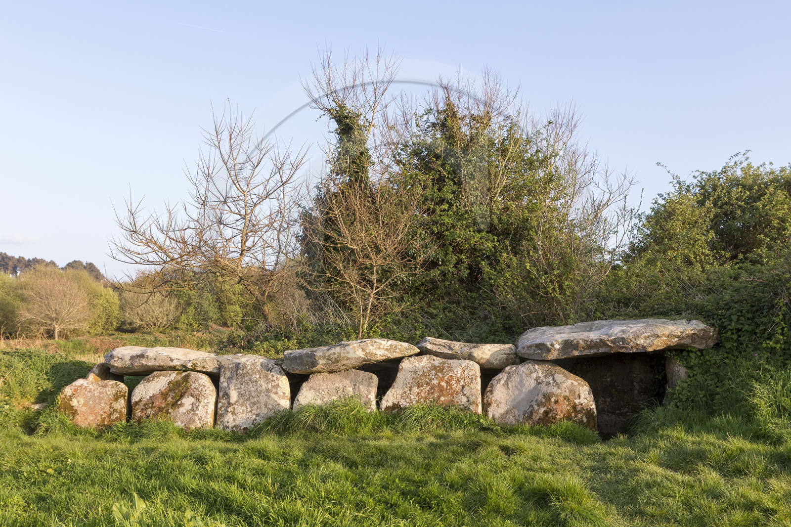 L'allée couverte de Kerguntuil à Trégastel.