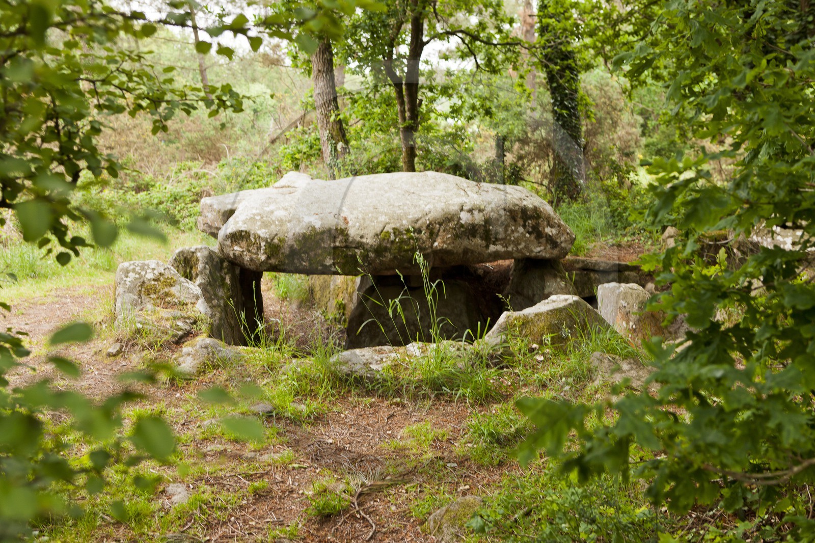 LE DOLMEN DE KERMARQUER