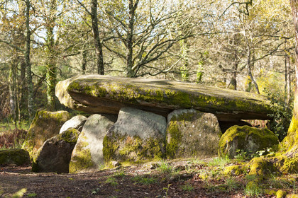 Le dolmen de la Loge au loup à Trédion