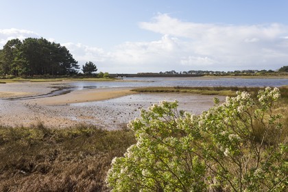 Sentier le long de l anse de Kerdual _ La Trinite sur Mer