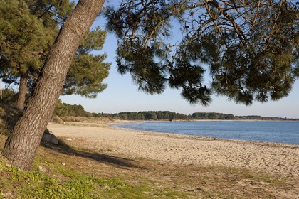 La plage du Men-Du _ La Trinité sur mer