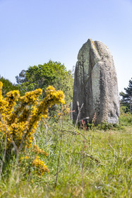 Le menhir de Kermaillard à Sarzeau