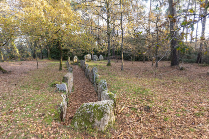 Allée couverte de Luffang Tal-er-Roch à Crach.