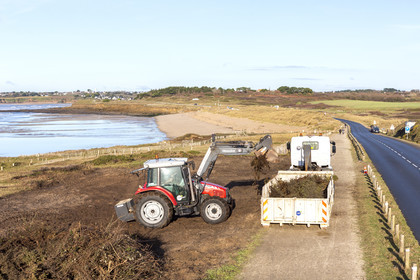 Gray dune _ The Loch in Guidel