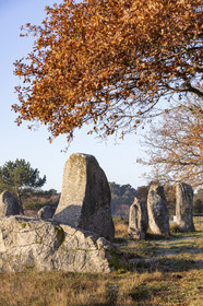 Alignement de Kermario_Carnac