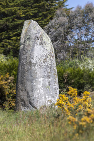 Le menhir de Kermaillard à Sarzeau