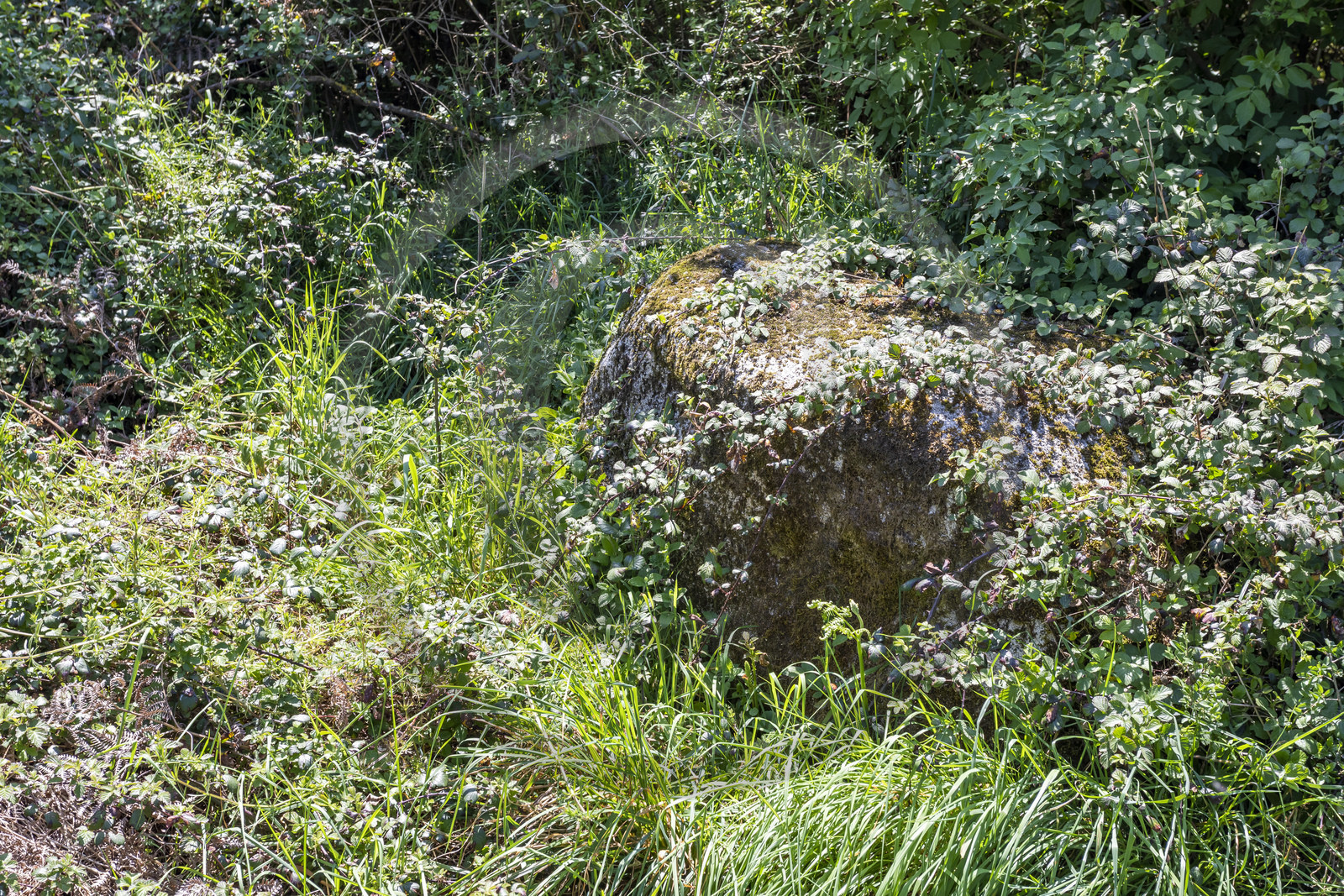 Menhir de Kerbigot à Sarzeau