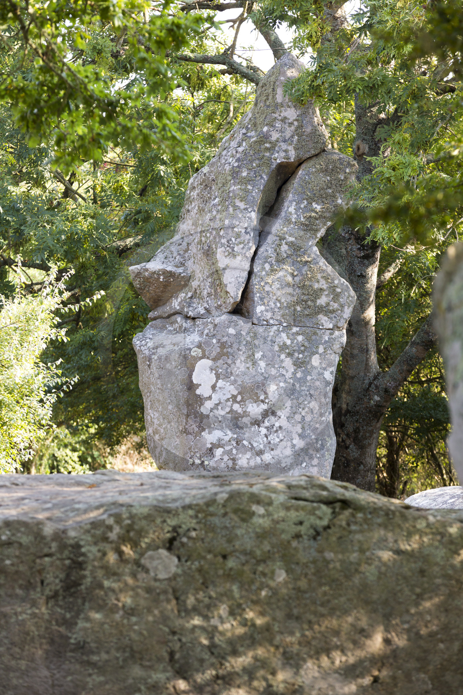 Alignments of Kerzerho _ Erdeven