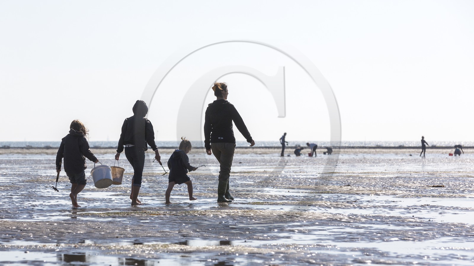 Shellfish gathering_Plouharnel