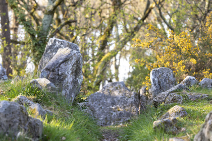 Le site mégalithiques de Mané Roulad à Ploemel