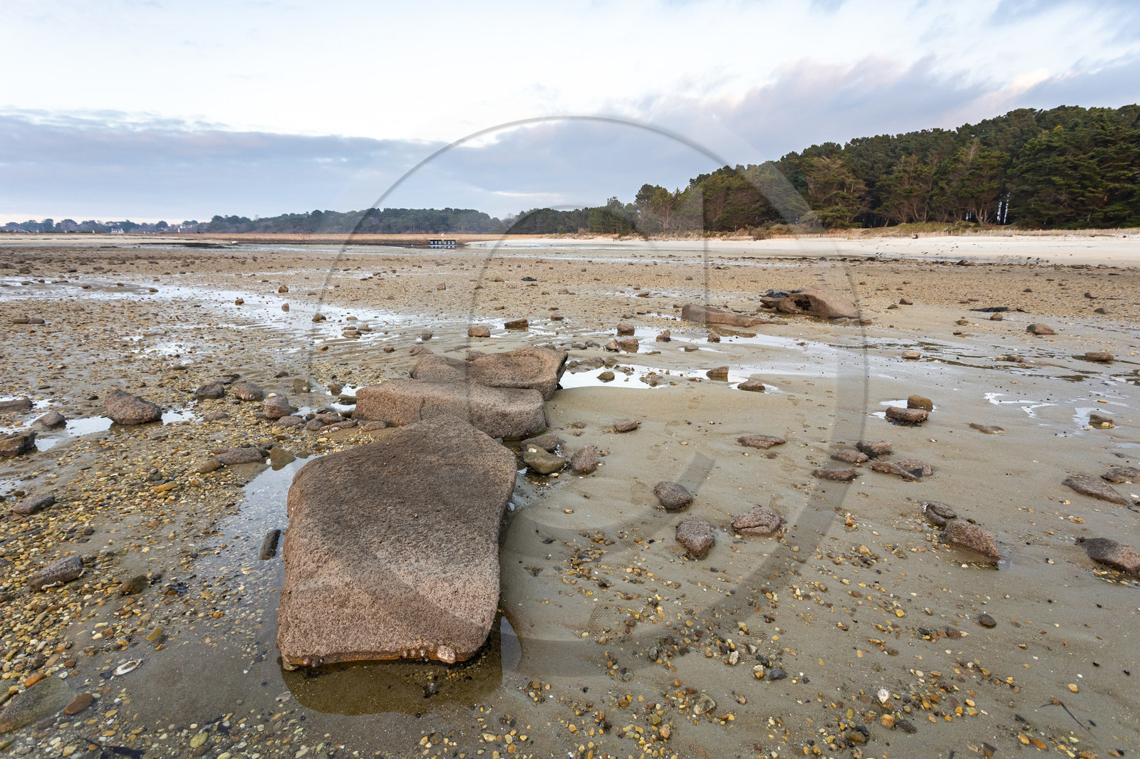 Alignements de Kerdual _ la Trinité sur Mer