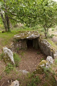 Le dolmen de Mane Bras _ la Trinite sur mer.