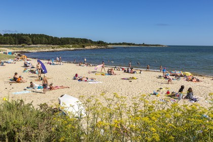 La plage du Men-du _ La Trinite sur mer