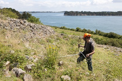 CHANTIER N ET P - GAVRINIS