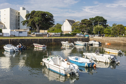 Le port de Carnac