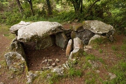 LE DOLMEN DE KERMARQUER