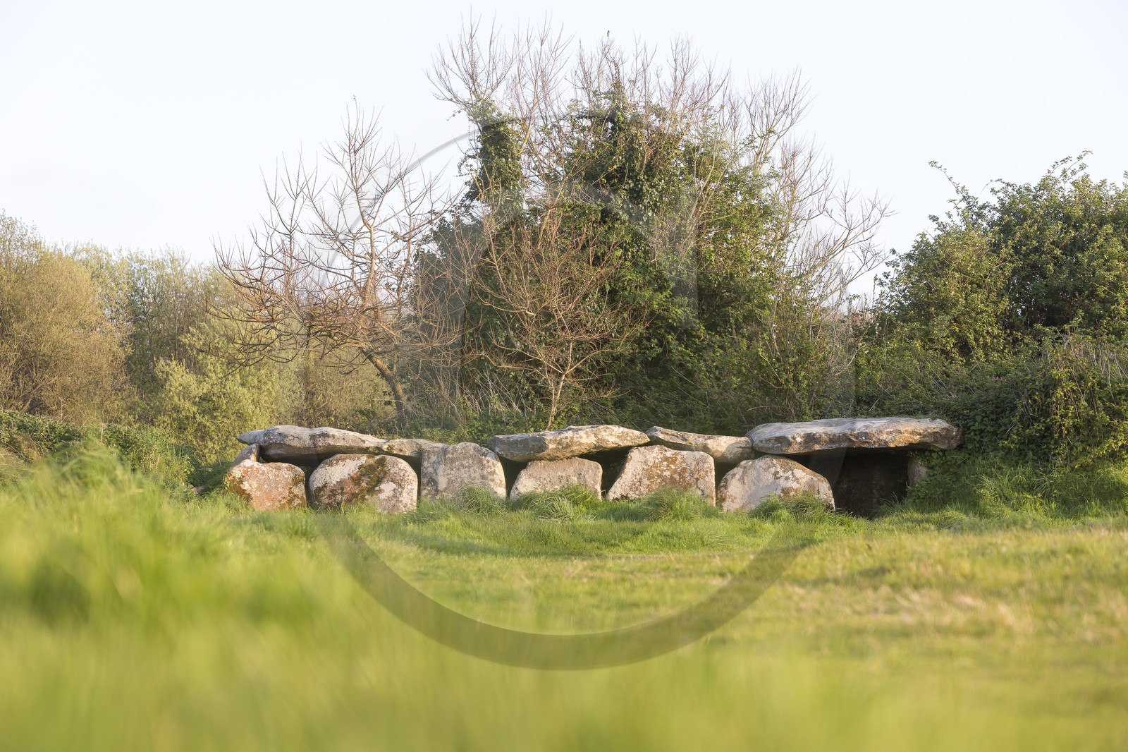 L'allée couverte de Kerguntuil à Trégastel.