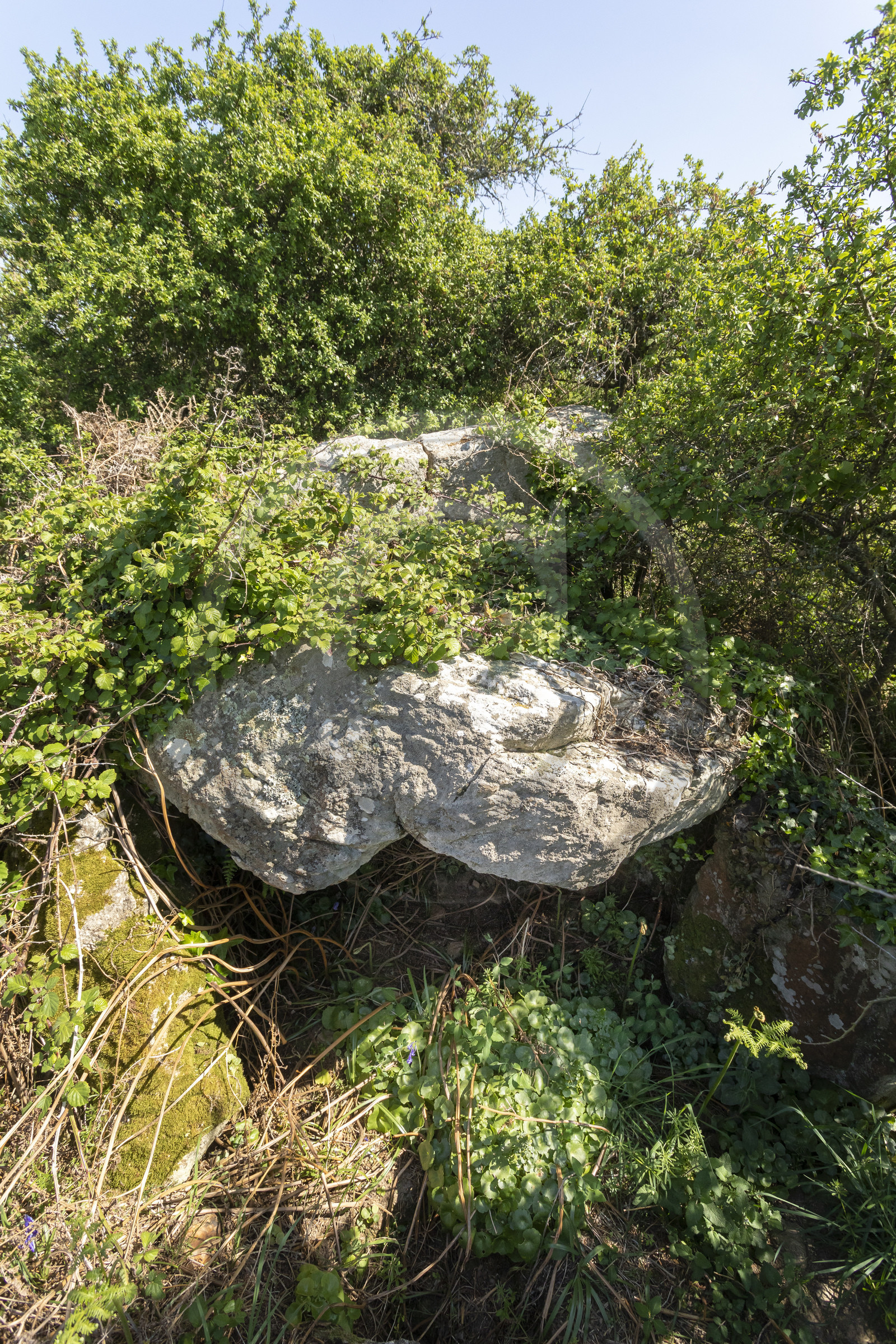 Allée couverte du Net _ Saint-Gildas-de-Rhuys