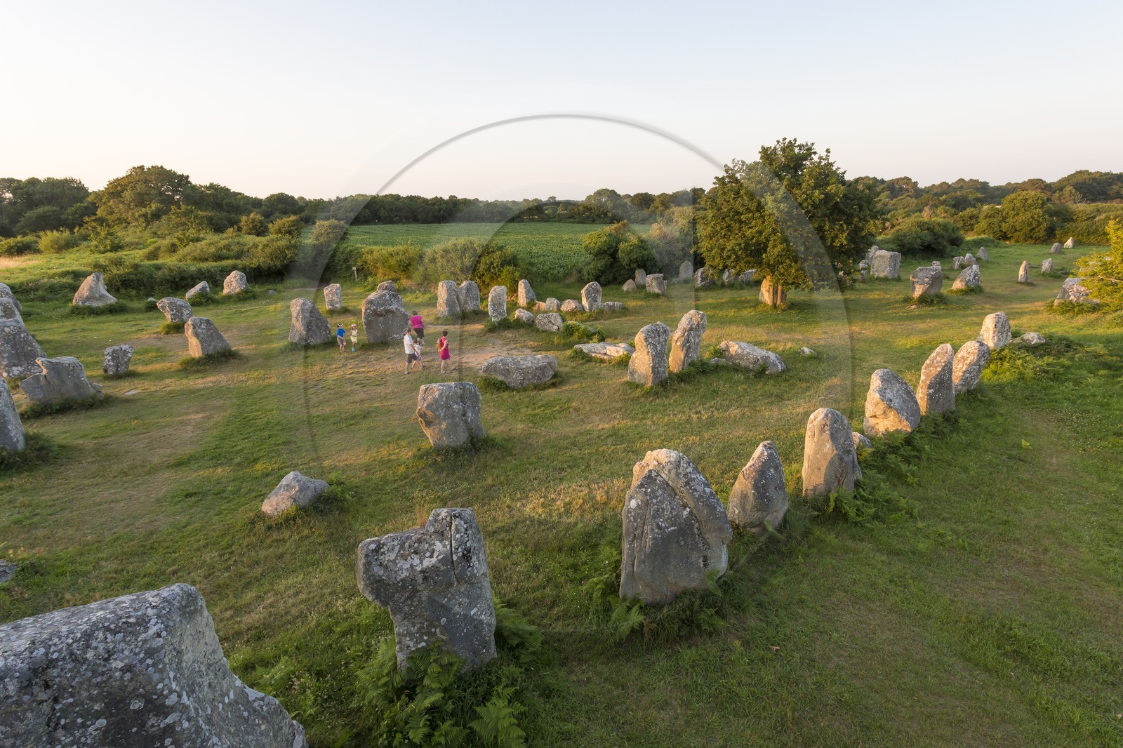 Alignements de Kerzerho _ Erdeven