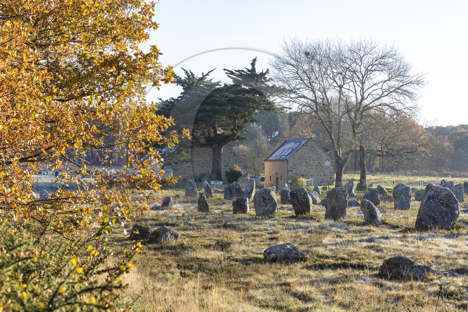 Alignement de Kermario_Carnac