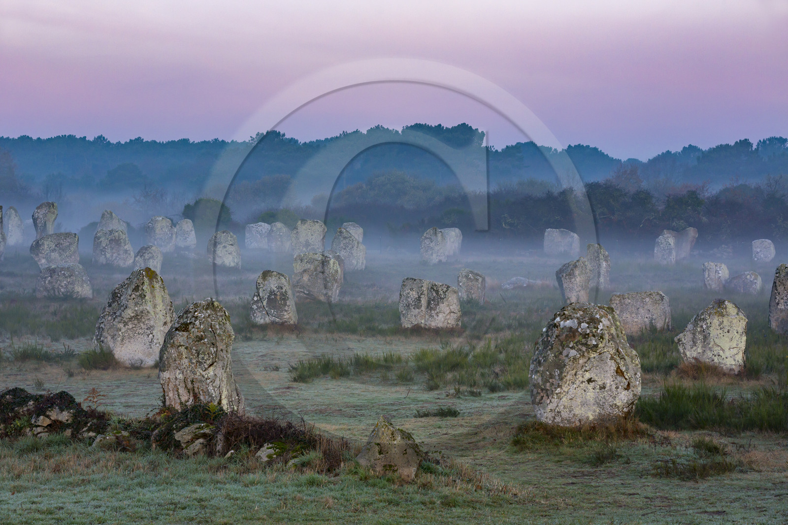 Alignements du Ménec à Carnac au petit matin.