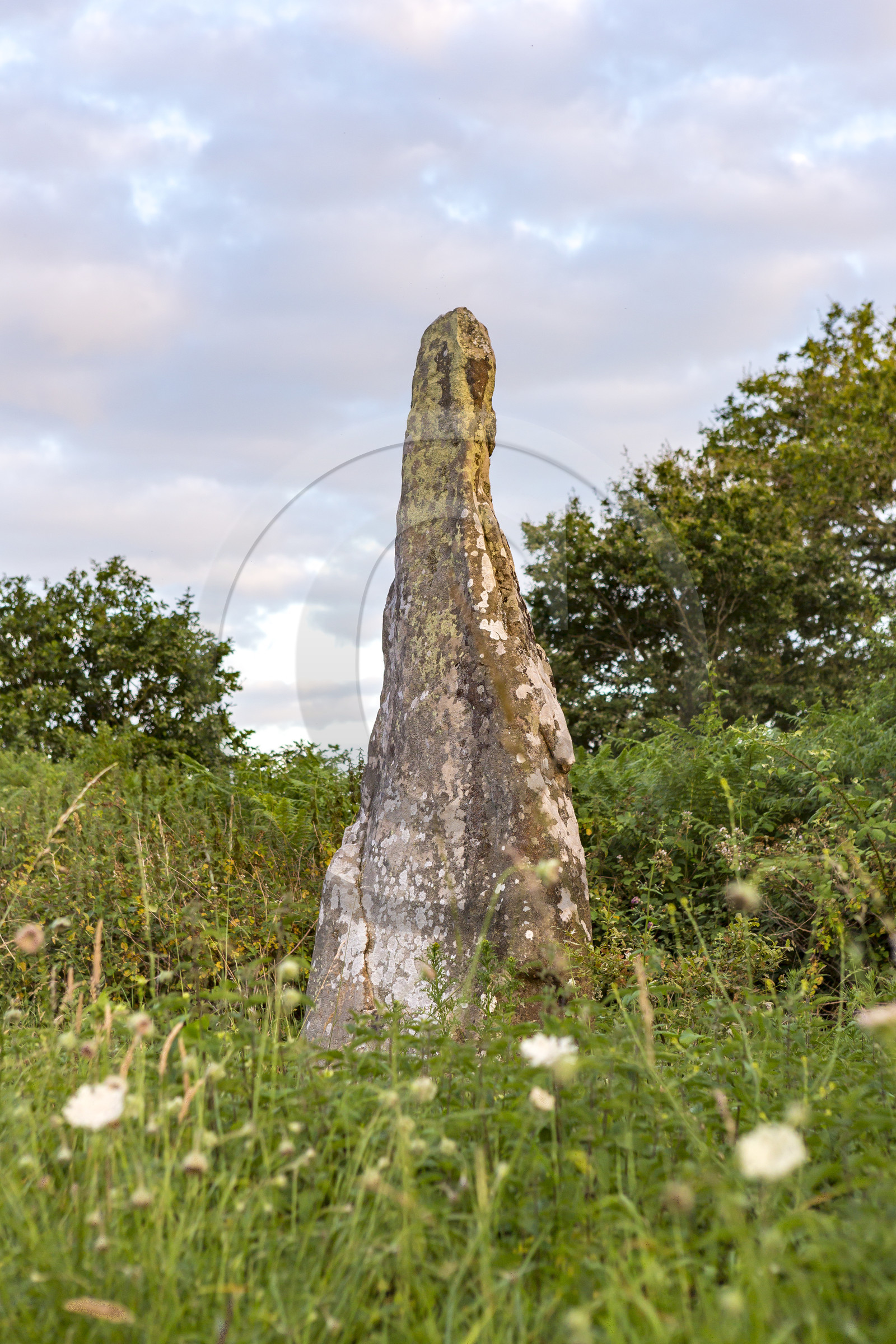 Le Tumulus du Moustoir à Carnac