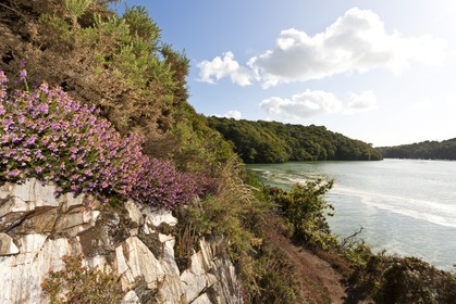 Pedestrian path along the river  La Laïta _Guidel