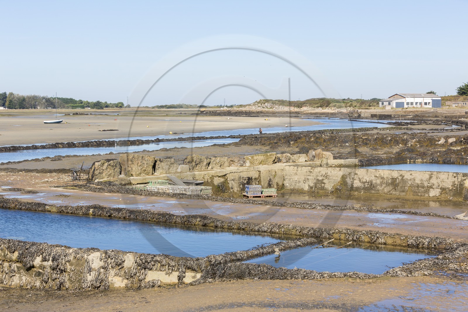 Parcs à huître_Plouharnel