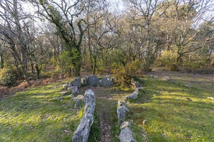 Le site mégalithiques de Mané Roulad à Ploemel