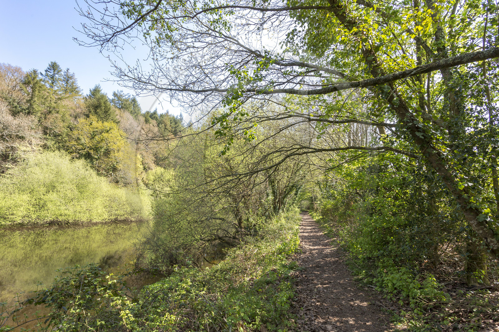 Paysage en bordure du Scorff. Pont-Scorff