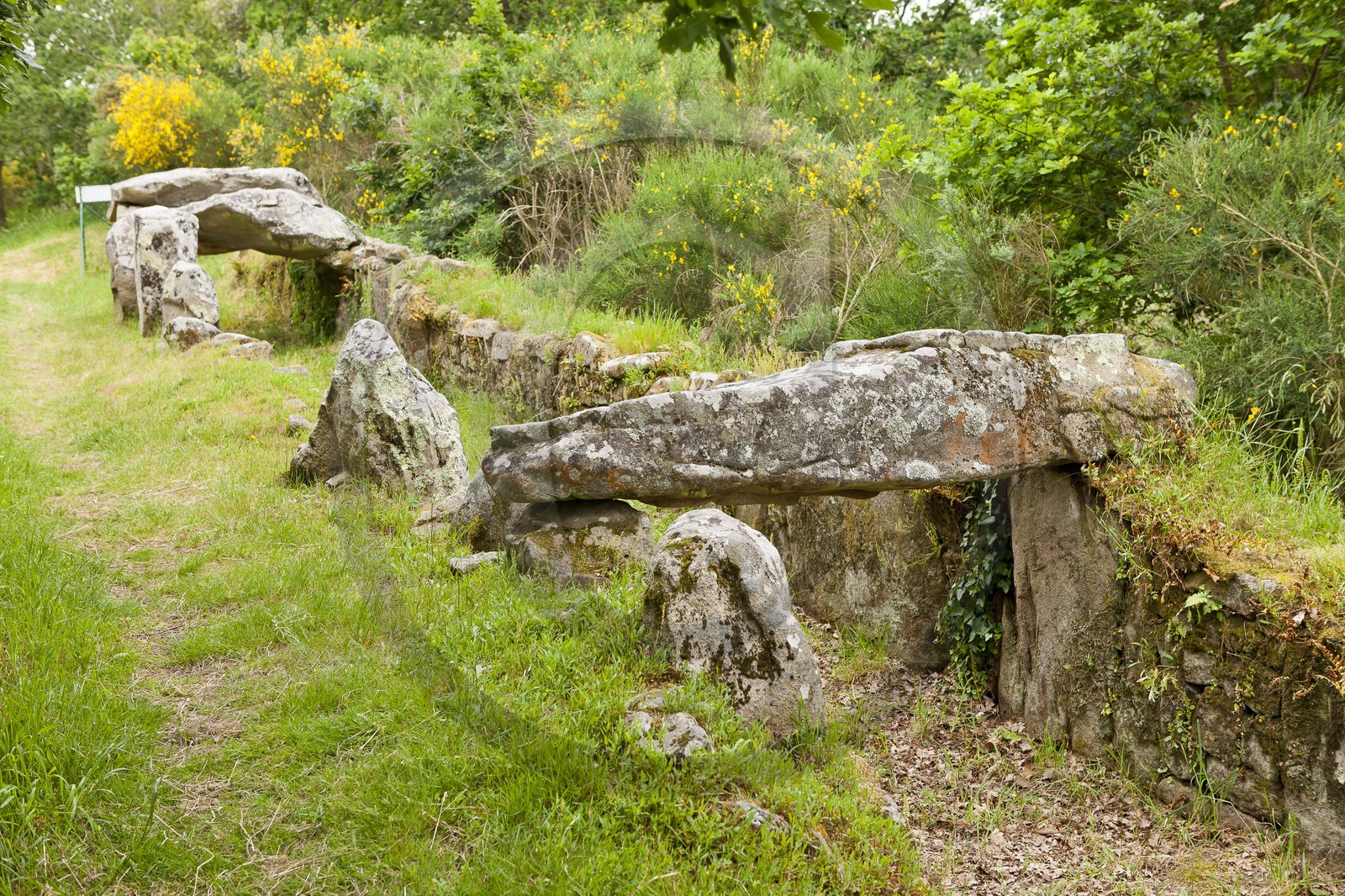 SITE ARCHEOLOGIQUE DE MANE ROULARDE _ LA TRINITE SUR MER
