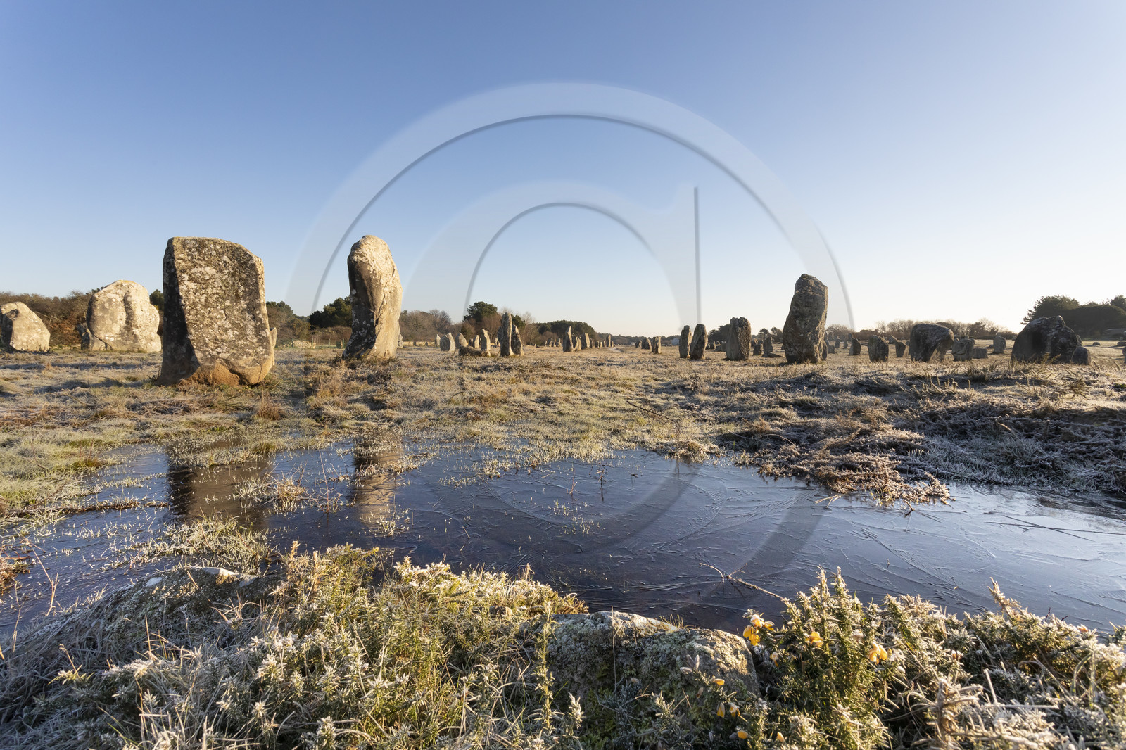 Les alignements du Ménec à Carnac